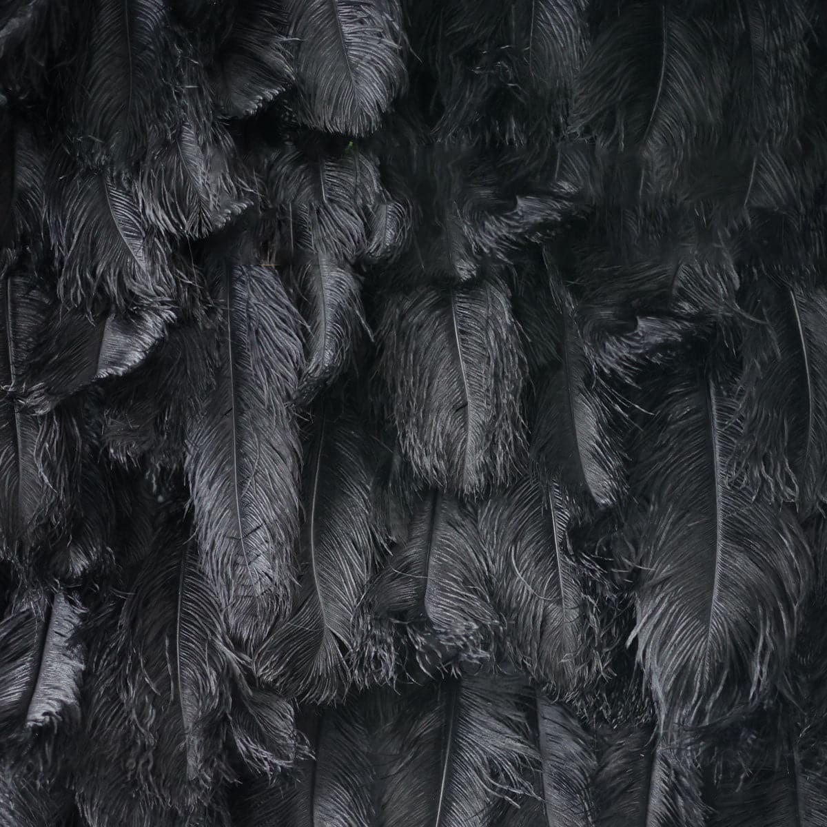 For Event Fabric Black Feather Arrangement Customize Special Silk Roll Up Flower Wall Artificial Wedding Decor