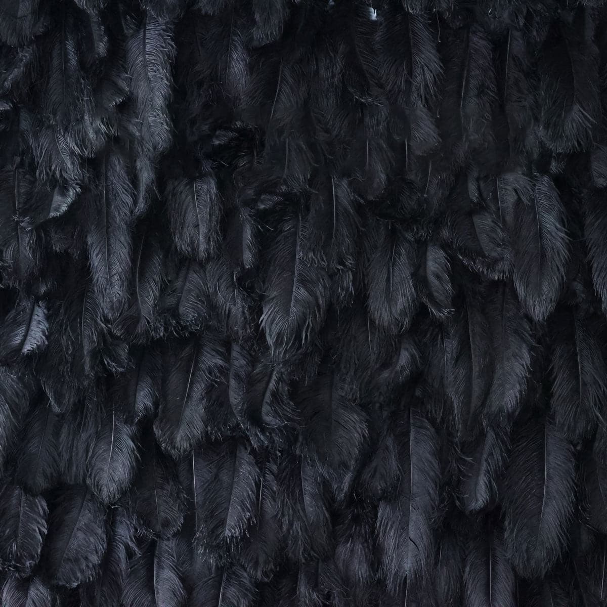 For Event Fabric Black Feather Arrangement Customize Special Silk Roll Up Flower Wall Artificial Wedding Decor